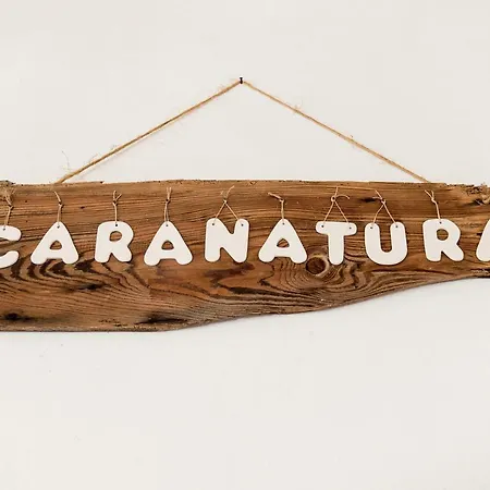 Caranatura